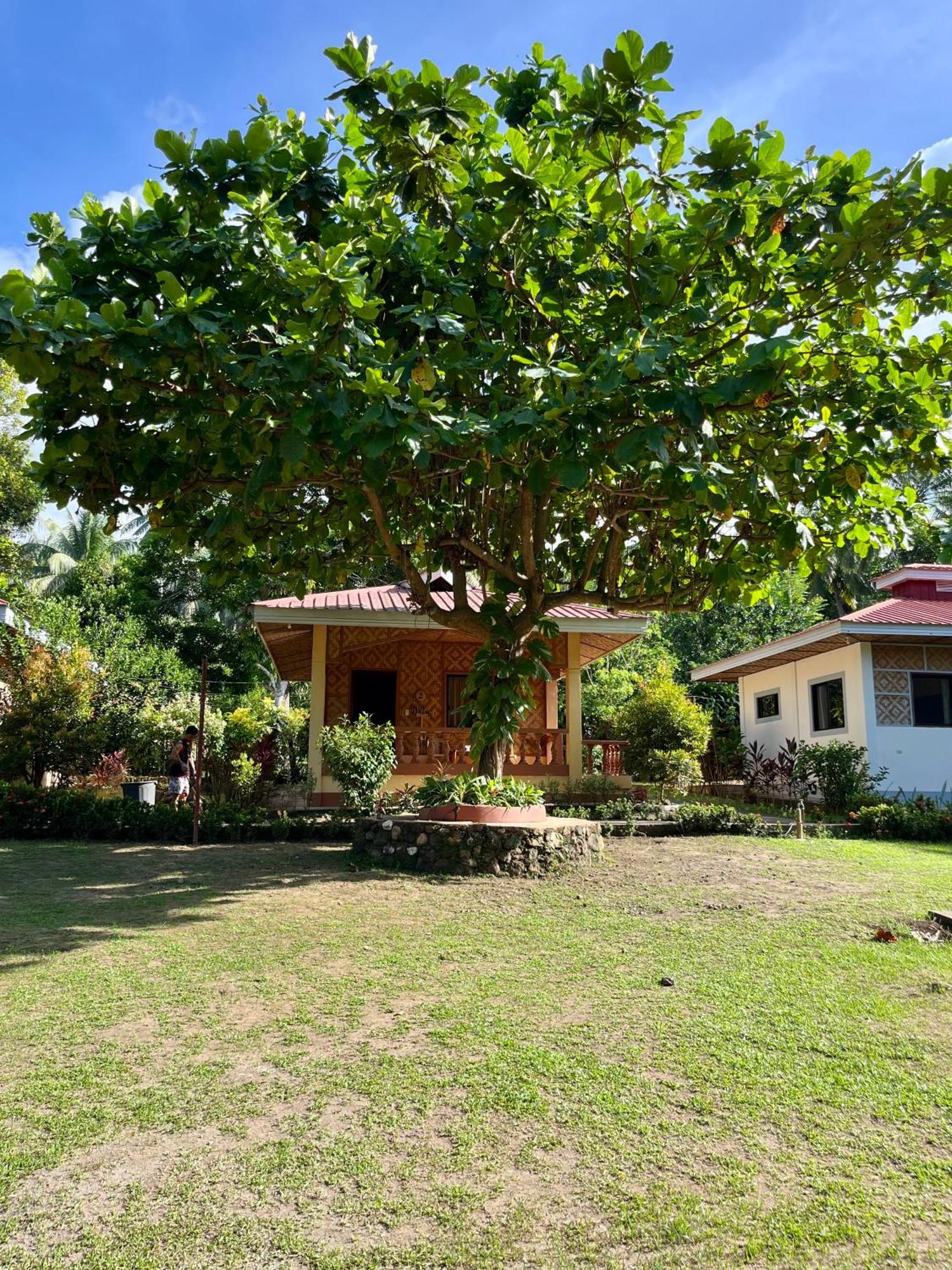 Paco'S Garden Home Stay Мамбаджао Екстериор снимка