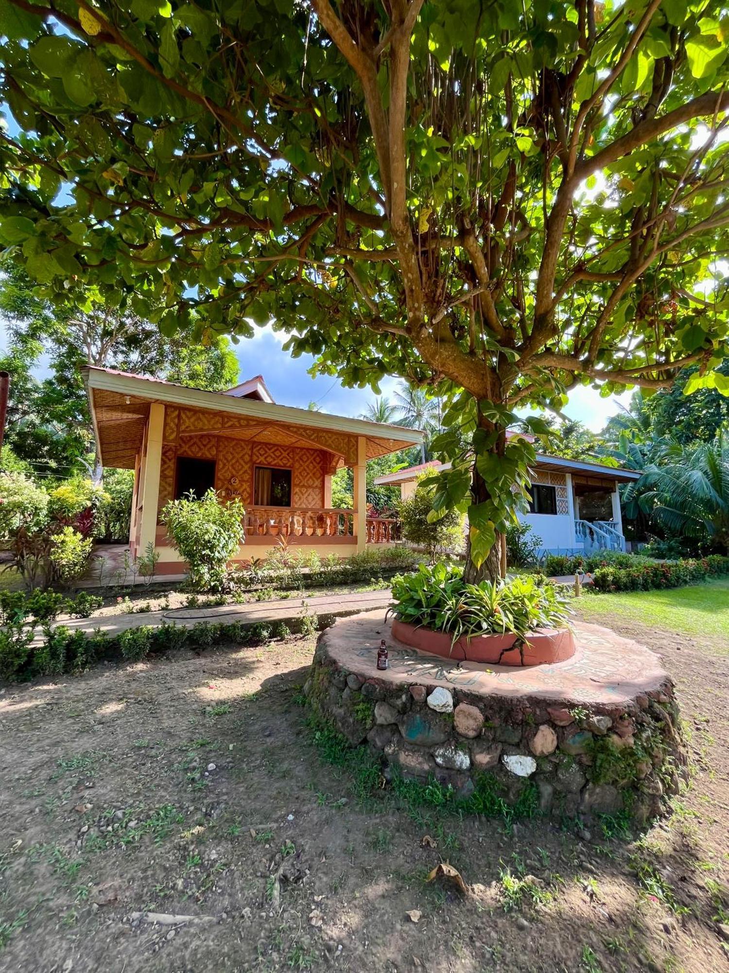 Paco'S Garden Home Stay Мамбаджао Екстериор снимка